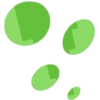 NT & S energy